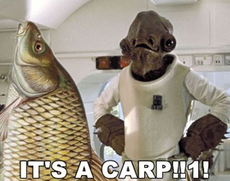 star-wars-its-a-carp.jpg