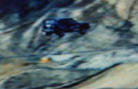 gtx-ufoshot.jpg (234517 bytes)
